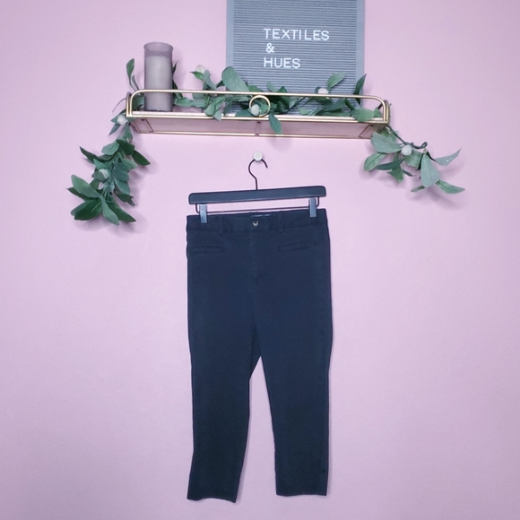 Anthropologie Cropped Skinny Pedal Pusher Pants - Picture 4 of 11